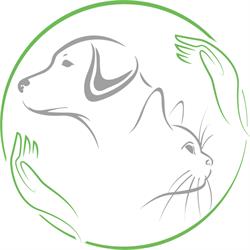 Weterynarz Pluto Radzionków, godziny otwarcia