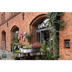 Kwiaciarnia Poznań Gintrowicz Flowers, godziny otwarcia