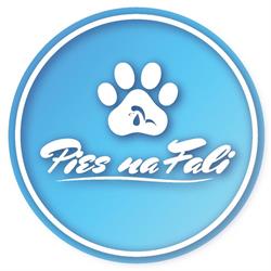 Fryzjer dla Psów Groomer Pies na Fali Psi fryzjer, Wrocław godziny otwarcia