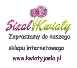 Kwiaciarnia Sizal, Jasło godziny otwarcia