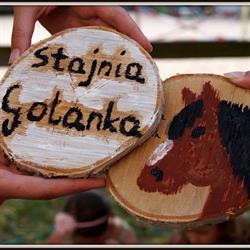 Stajnia Golanka, Prochowice godziny otwarcia