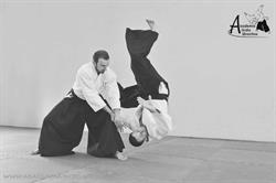 Akademia Aikido Wrocław, godziny otwarcia