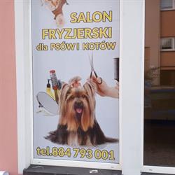 BRYŚ salon fryzjerski dla psów , kotów i małych zwierząt, Kędzierzyn-Koźle godziny otwarcia