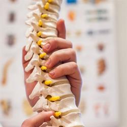 EŁK REHABILITACJA MASAŻ TERAPIA MANUALNA FALA UDERZENIOWA mgr Łukasz Sutowski, Ełk godziny otwarcia