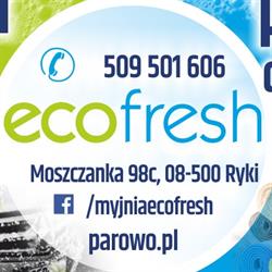 ECOFRESH, Mechanika, Serwis Opon, Myjnia Ręczna, Pralnia dywanów, Moszczanka godziny otwarcia