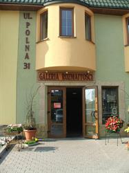 Galeria Rozmaitości, Lubin godziny otwarcia