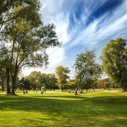 First Warsaw Golf, Rajszew godziny otwarcia