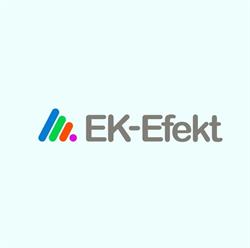 EK-EFEKT Biuro Rachunkowe Ewa Kędzia, Piotrków Trybunalski godziny otwarcia