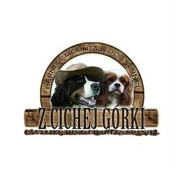 Hodowla Berneńskiego Psa Pasterskiego i Cavaliera "Z Cichej Górki ", Góra Siewierska godziny otwarcia