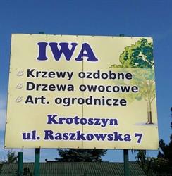 IWA Punkt Sprzedaży Drzew i Krzewów Ozdobnych oraz Owocowych, Krotoszyn godziny otwarcia