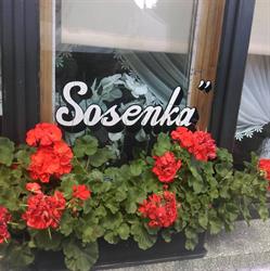 Kawiarnia Sosenka, Wiśniowa godziny otwarcia