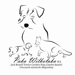 Paka Wilkołaka - Hodowla Jack Russell Terrier Katowice, godziny otwarcia