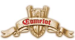 Zamek Camelot w Dębicy, Dębica godziny otwarcia