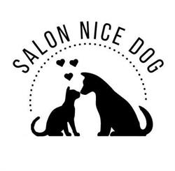 Salon Nice Dog-Pielęgnacja kotów, małych psów i królików - Sylwia Krajewska, Łódź godziny otwarcia