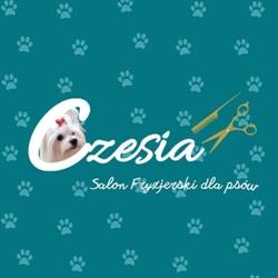 Czesia, Poznań godziny otwarcia