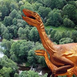 Stowarzyszenie Lokalna Grupa Działania "Kraina Dinozaurów", Ozimek godziny otwarcia