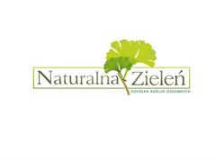 Szkółka Roślin Ozdobnych Naturalna Zieleń Damian Naturalny, Sączów godziny otwarcia