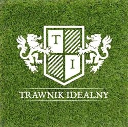 Trawnik Idealny, Kielce godziny otwarcia
