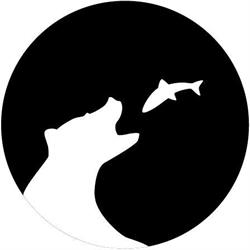 Big Bear Film Rental - Wypożyczalnia sprzętu filmowego, Warszawa godziny otwarcia