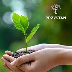 Przystań - Prywatna Poradnia Zdrowia Psychicznego, Żywiec godziny otwarcia