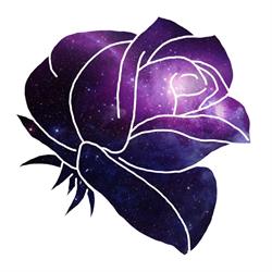 Salon Fryzjerski Rose, Świecie godziny otwarcia