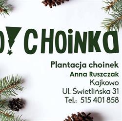 O!Choinka, Sprzedaż choinek, Kajkowo godziny otwarcia
