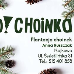 O!Choinka, Sprzedaż choinek, Kajkowo godziny otwarcia