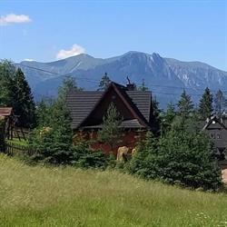 Cyrwony Domek, Poronin godziny otwarcia