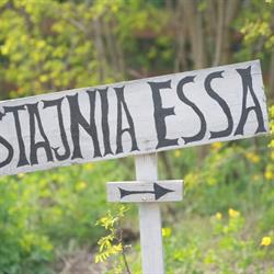 Stajnia ESSA, Kirsztajnów godziny otwarcia
