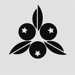 Inkberry Tattoo & Piercing, Szczecin godziny otwarcia