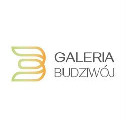 Galeria Budziwój, Rzeszów godziny otwarcia