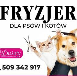 Daisy fryzjer dla zwierzat, Krosno godziny otwarcia