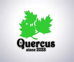 Quercus Mateusz Skrobiranda, Pęczniew godziny otwarcia