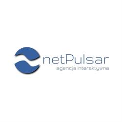 NetPulsar - Agencja Interaktywna, Opole godziny otwarcia
