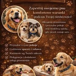 DOG HOUSE Groomer & Hotel Danuta Kaczmarczyk, Ruda godziny otwarcia