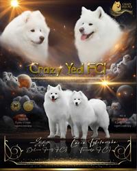 Crazy Yed FCI Dariusz Waszkiewicz, Sikorowo godziny otwarcia