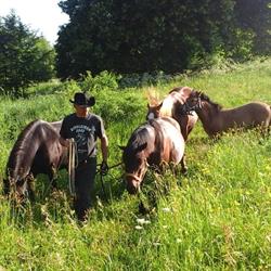 "Ropuszy Dwór" Agroturystyka. Pokoje Gościnne. Jazda Konna. Malarstwo. Noclegi, Nowosiółki godziny otwarcia