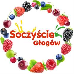 Soczyście Głogów, godziny otwarcia