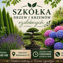 Szkółka drzew i krzewów ozdobnych, Chojnów godziny otwarcia