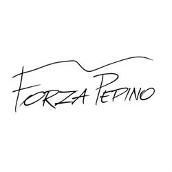 FORZA PEPINO, Świdnica godziny otwarcia