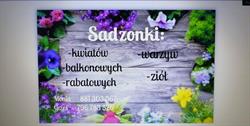 ogrodnictwojarosz, Rozłopy godziny otwarcia