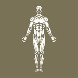 Sport & Health Fizjoterapia Łukasz Szprengel, Gdańsk godziny otwarcia
