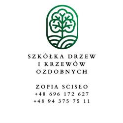 Szkolka Drzew I Krzewow Ozdobnych Zofia Scislo, Piława godziny otwarcia