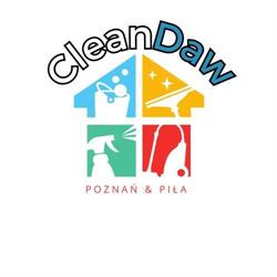 Czyszczenie tapicerki samochodowej i meblowej oraz car detailing, CleanDaw, Szamotuły godziny otwarcia