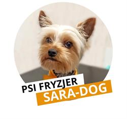 Psi Fryzjer Złotoryja SARA-DOG - Strzyżenie Psów - Salon Pielęgnacji Psów, godziny otwarcia