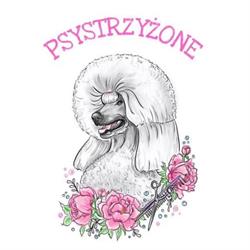 Psystrzyżone Salon Pielęgnacji dla psów, Płock godziny otwarcia