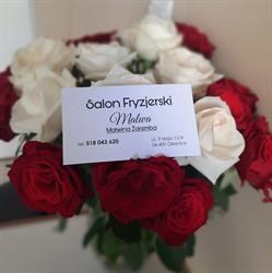 Salon Fryzjerski MALWA, Oleśnica godziny otwarcia
