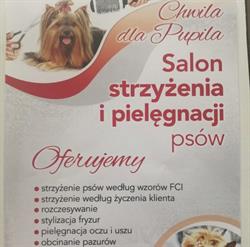Chwila dla pupila, Gniezno godziny otwarcia