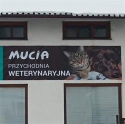 Przychodnia Weterynaryjna MUCIA, Mszana Dolna godziny otwarcia