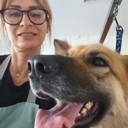 Pupil Salon Groomerski Dorota Majcherek, Łączna godziny otwarcia